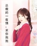 总裁的一夜情:求你抱抱