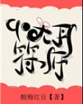 九零大丹符师
