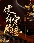 侯爷的宠妾