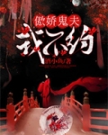 傲娇鬼夫,我不约