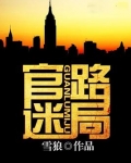 官路迷局