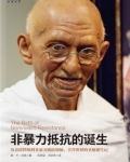 非暴力抵抗的诞生:南非非暴力抵抗运动史