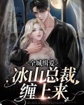 全城缉爱:冰山总裁缠上来