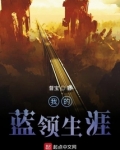 我的蓝领生涯