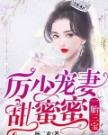 一胎三宝:厉少宠妻甜蜜蜜