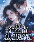 傅爷的金丝雀总想逃跑