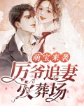 萌宝来袭:厉爷追妻火葬场