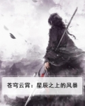 苍穹云霄:星辰之上的风暴