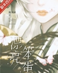 漂亮笨蛋[无限]