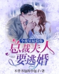今夜星辰似你:总裁夫人要逃婚