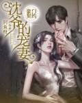 豪门契约:沈爷的宠妻