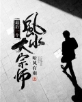 最后一个风水大宗师