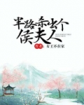 半路杀出个侯夫人