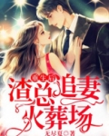 重生后,渣总追妻火葬场