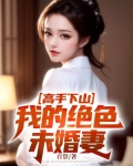 高手下山,我的绝色未婚妻