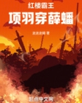 红楼霸王：项羽穿薛蟠