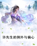 许先生的例外与偏心