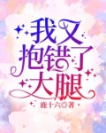 我又抱错了大腿