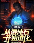 洪荒:从混沌石开始进化!