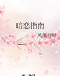 暗恋指南